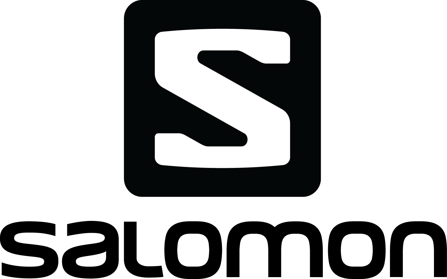kisspng-salomon-group-skiing-logo-running-reebok-5acb79e20ec1d7.1084772515232844500605
